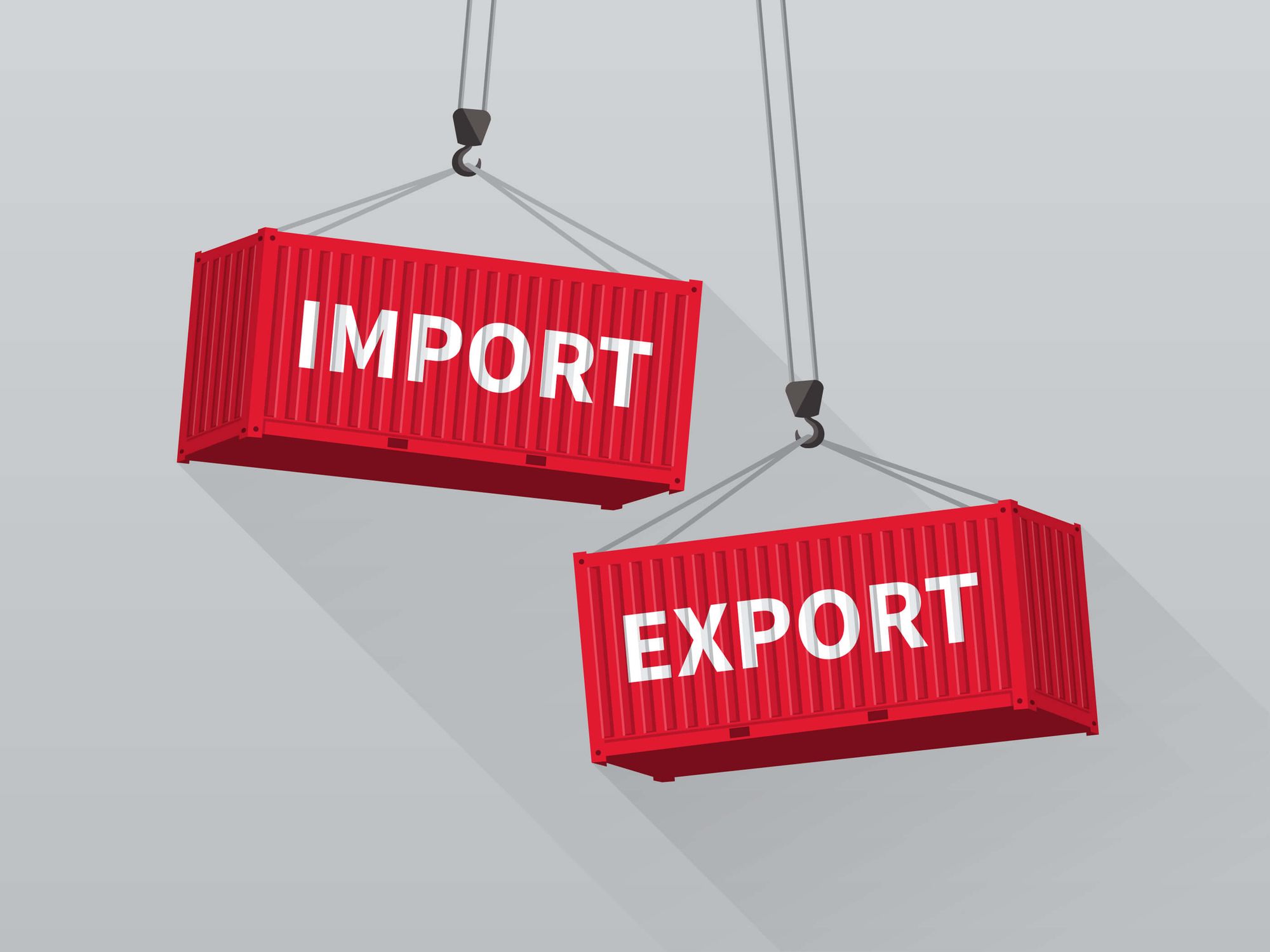 IMPORT / EXPORT