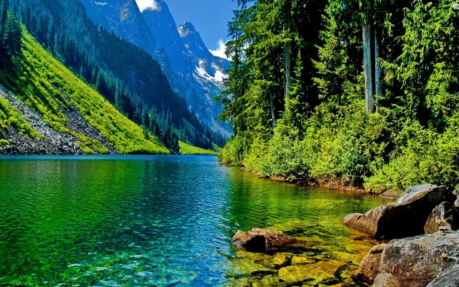 Slider Image